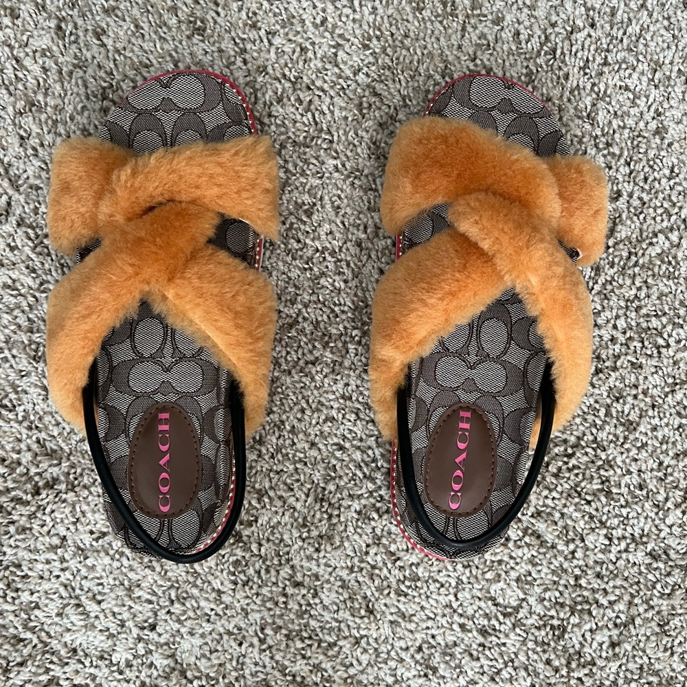 Size 8.5 COACH slides